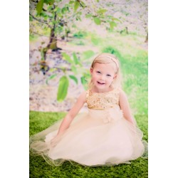 Gold Sequined Bodice with Double Tulle Skirt Flower Girl Dress 