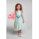 Butterfly Organza Flower Girl Dress