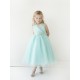Shimmering V-Neck Tulle Dress with Rhinestone Sash