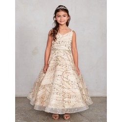 Vneck Glitter Organza Sequin Embroidered Flower Girl Dress