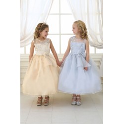 Lace Organza Illusion Neckline Flower Girl Dress