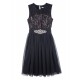 Lace Tulle Dress