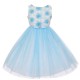sz 10 Aqua Rosette Lace Flower Girl Dress