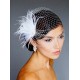 Rhinestone Clip Fan Shaped Fascinator & Birdcage Veil