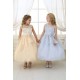 s8 Silver Lace Organza Illusion Neckline Flower Girl Dress