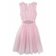 Lace Tulle Dress
