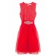 Lace Tulle Dress
