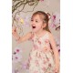 Vintage Organza Floral Flower Girl Dress