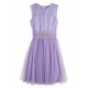 Lace Tulle Dress