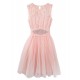 Lace Tulle Dress