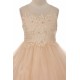 Lace Appliques Illusion Bateau Flower Girl Dress