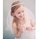 Pearl Rhinstone Crown Veil Tiara