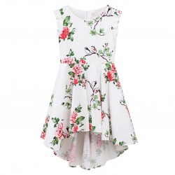 Printed Love Bird High-Lo Dress